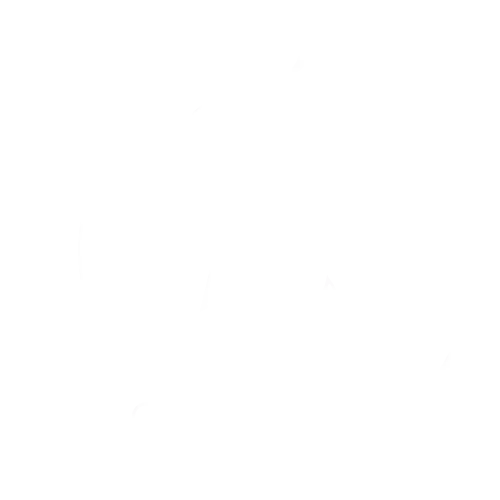 Texas Motorcycle Accident Lawyer - AK Law Firm